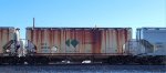CEFX 302735